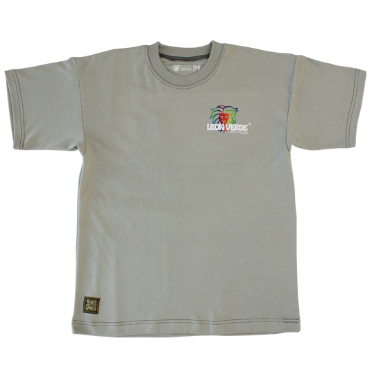 Playera "Logo Tiedye" PESADA