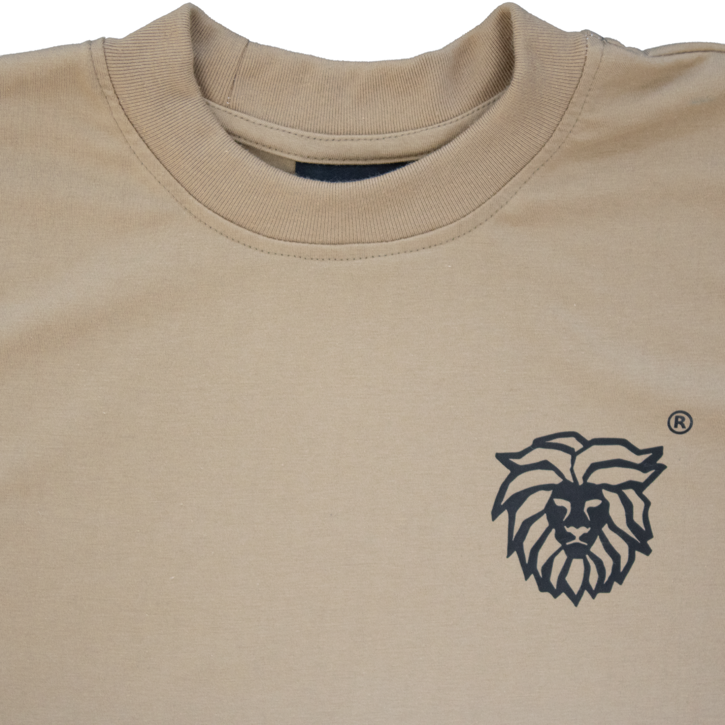 Playera ¨SIN MIEDO V3¨