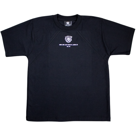 Playera Piqué ¨V CLÁSICA¨