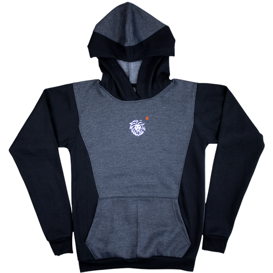 Sudadera PREMIUM ¨BICOLOR¨