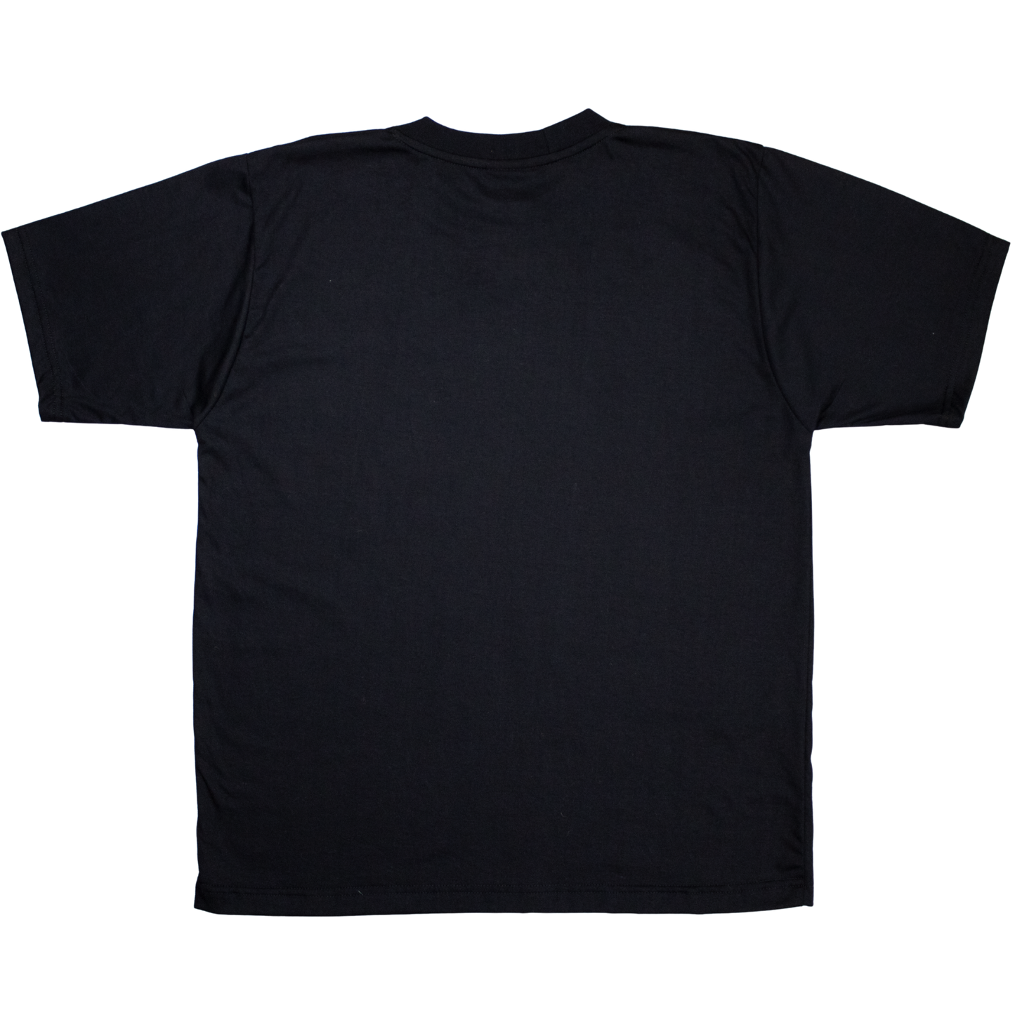 Playera ¨HOLOGRAMA¨