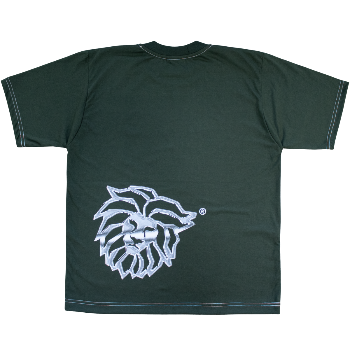 Playera ¨HOLOGRAMA¨ Vde