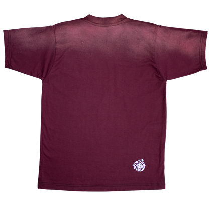 Playera ¨CURSIVA SUN FADED¨