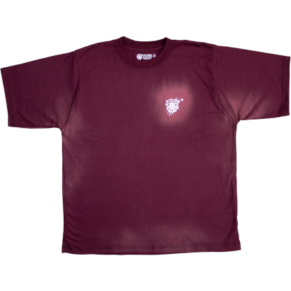Playera ¨RASGUÑO SUN FADED¨