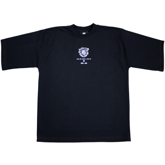Playera ¨DELINEADA¨